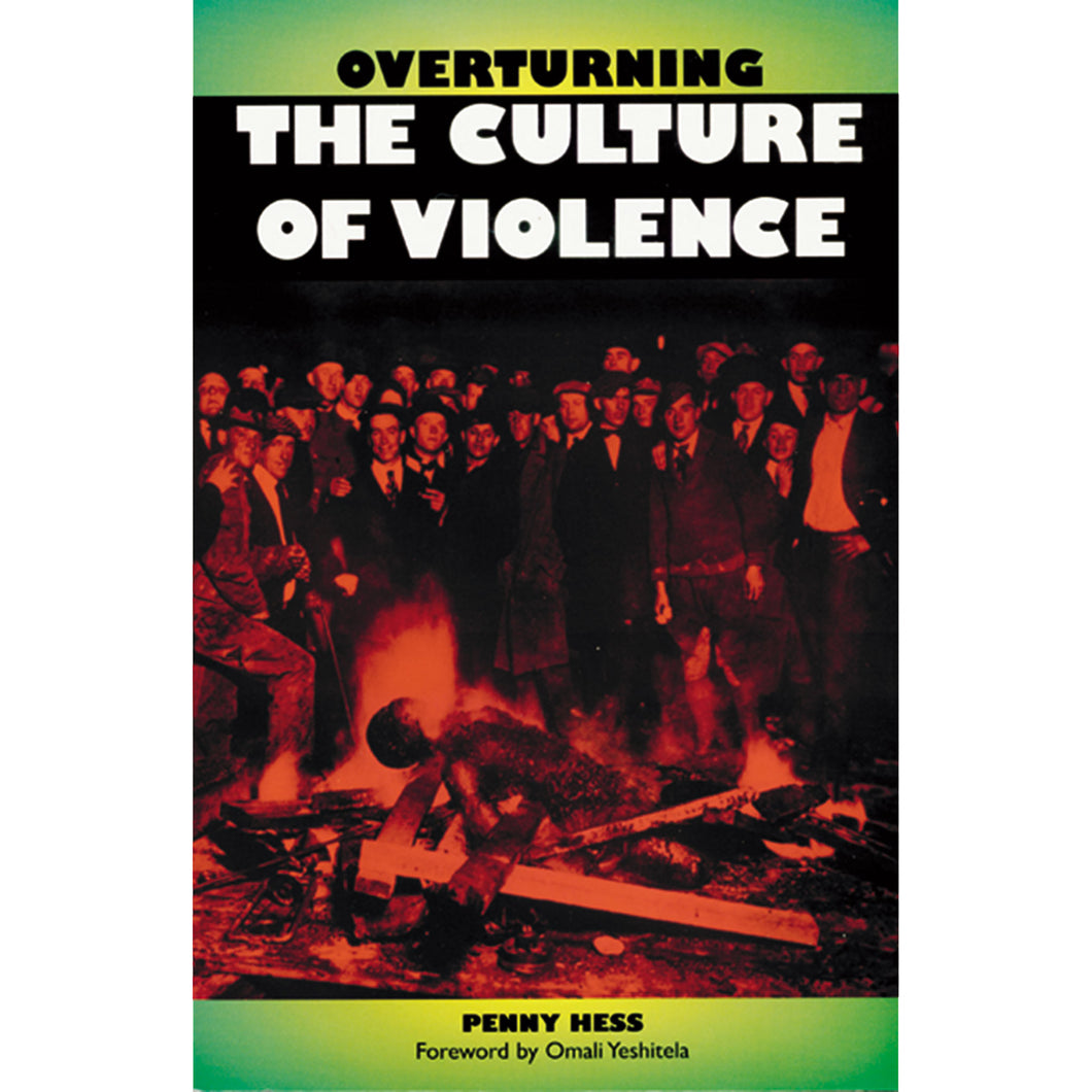 Overturning the Culture of Violence